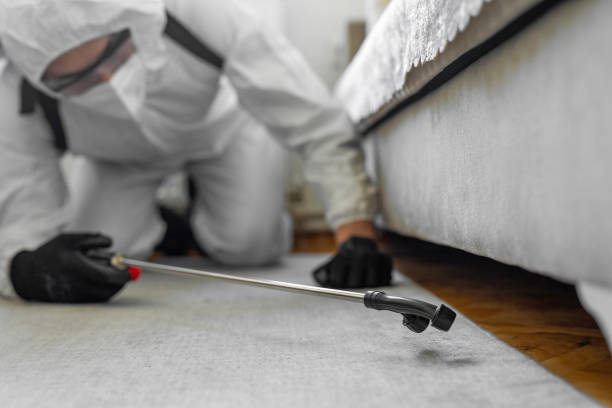 Professional Wasp Control technician working in Villa Hills, KY